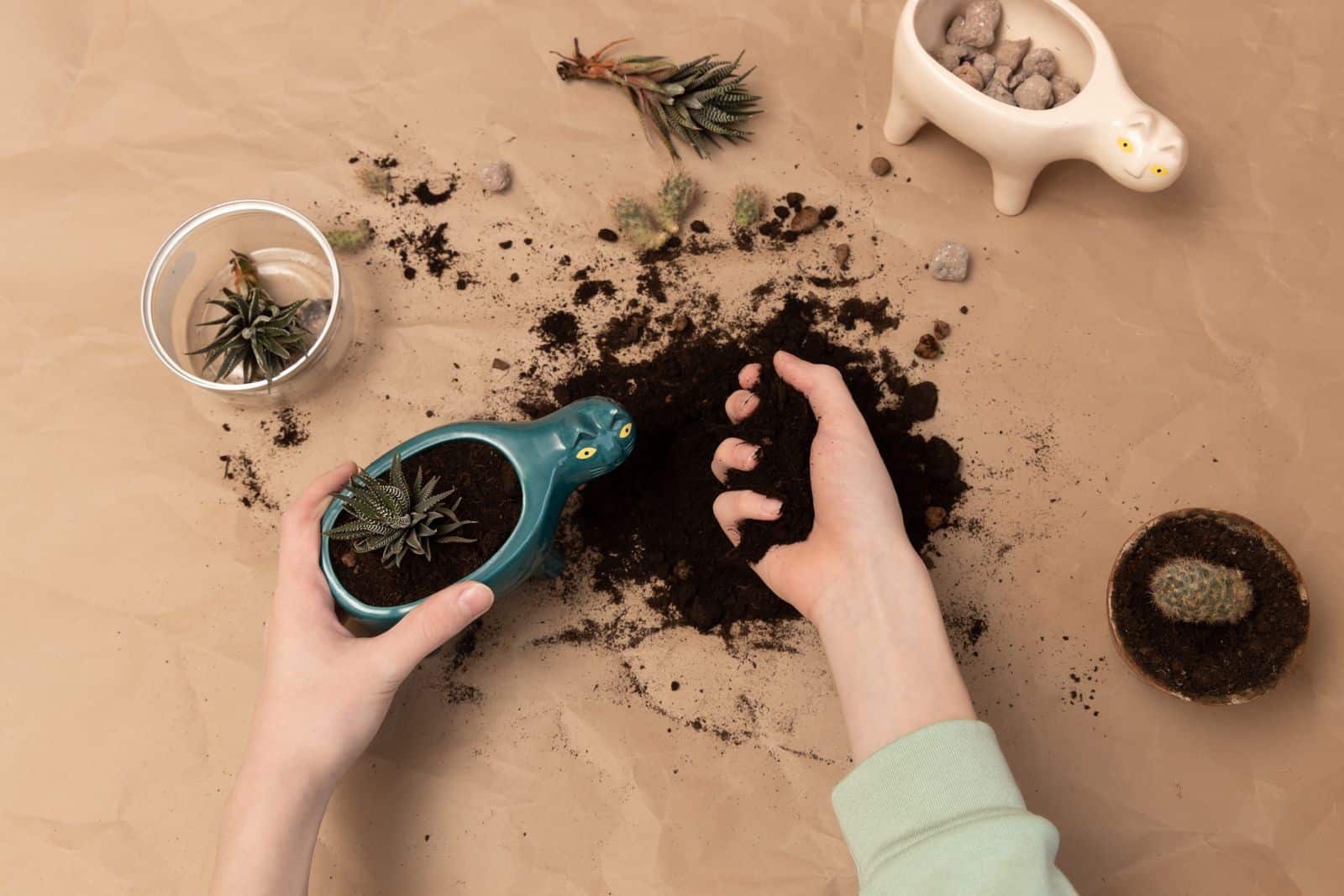 How to Make Cactus and Succulent Soil Mix